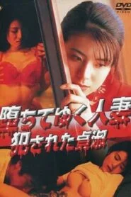 The Fallen Wife: Chastity Violated