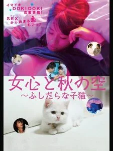 A Woman’s Heart and the Autumn Sky: A Slutty Kitten