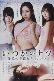 Someday’s Summer: A Campus of Love at Dusk