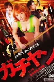 Gachiyan: Yan jo Sude Kenka Fukushuu-hen