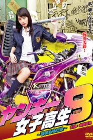 Yankee High School Girl 8 ~Shizuoka’s Strongest Legend~