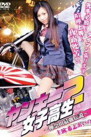 Yankee High School Girl 2 ~Kanagawa Legend~