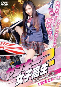 Yankee High School Girl 2 ~Kanagawa Legend~