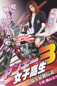 Yankee High School Girl 3 ~Saitama’s Greatest Legend~