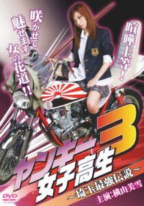 Yankee High School Girl 3 ~Saitama’s Greatest Legend~